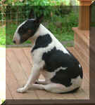 Vella demonstrates the 'bully sit'. 