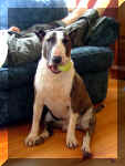 Look! Duff's not on the couch!!!!