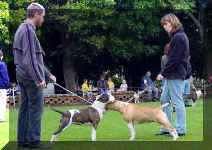 Deane, Thora, Ruby and Linda at Nathan Homestead